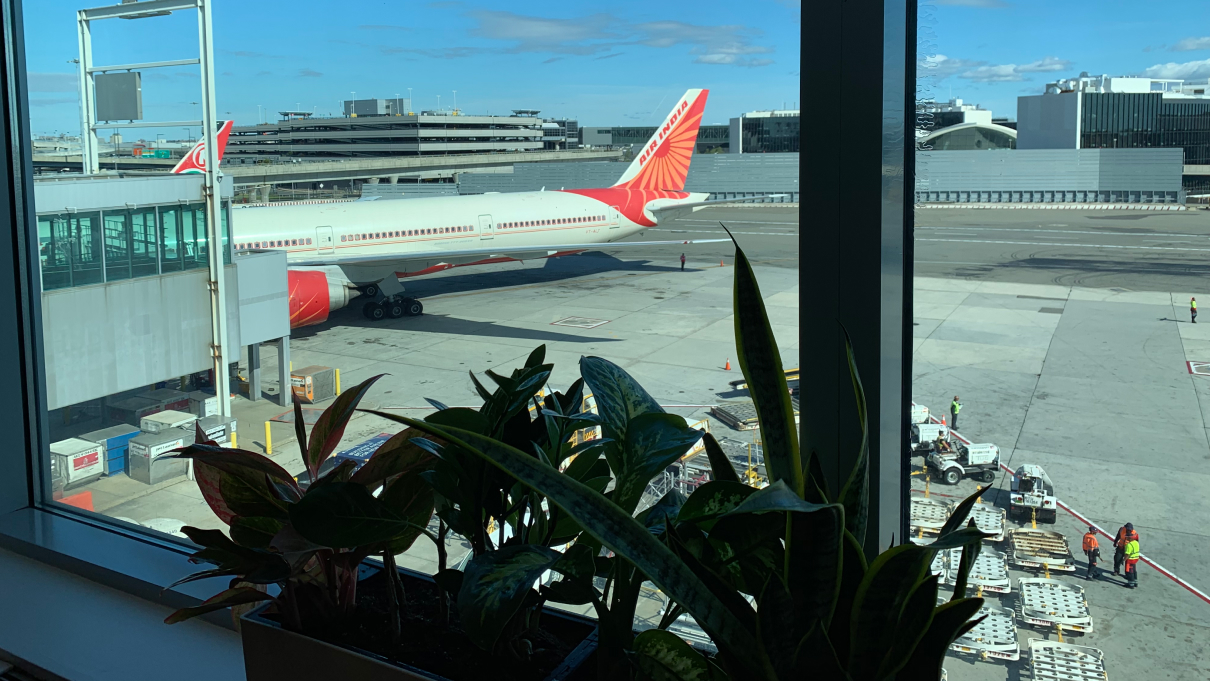 John F. Kennedy International Airport - Air India Lounge 3